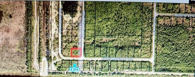 3 of 4 - Merganser St Sw Merganser St Sw & Slimtwig Avenue, Palm Bay, FL