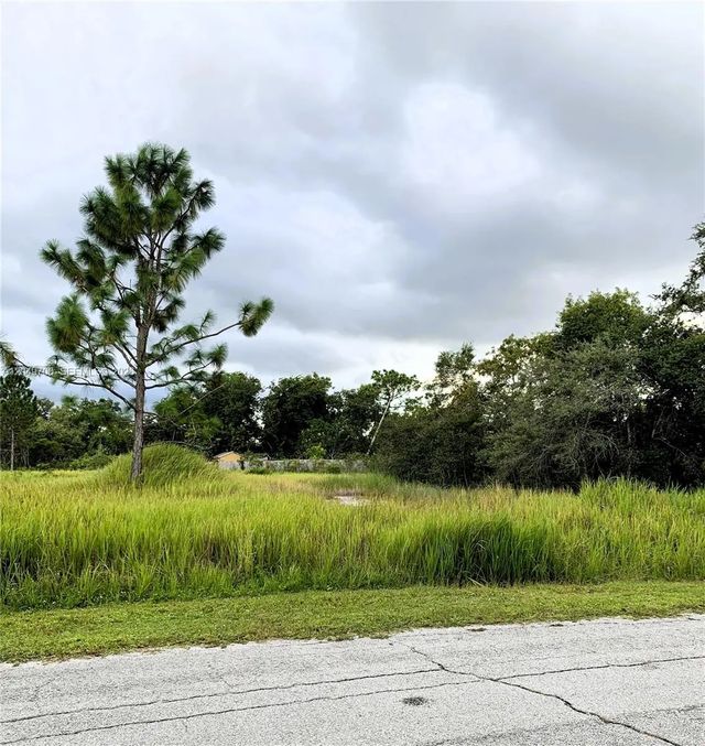 5 of 10 - 531 St Johns Court, Poinciana, FL