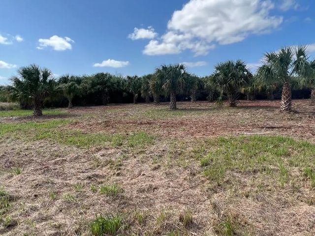 2182 Sparta Avenue Sw, Palm Bay