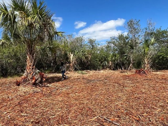 3 of 6 - 2182 Sparta Avenue Sw, Palm Bay, FL
