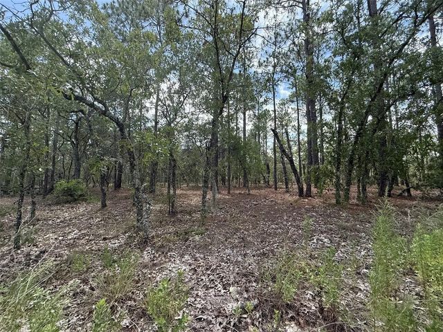 2 of 5 - Tbd Nw Tree Top Road, , FL
