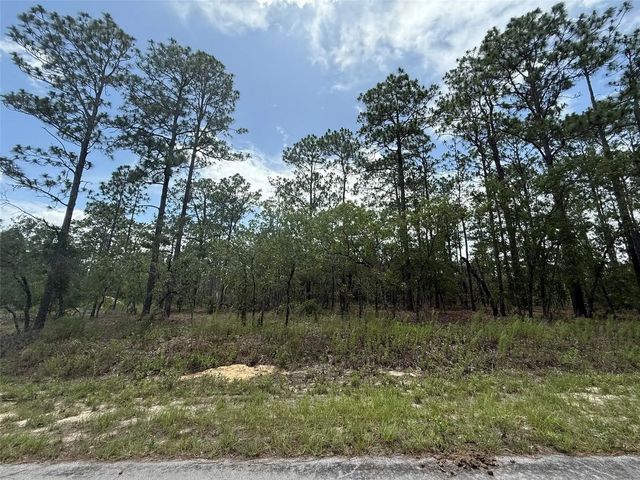 5 of 5 - Tbd Nw Tree Top Road, , FL