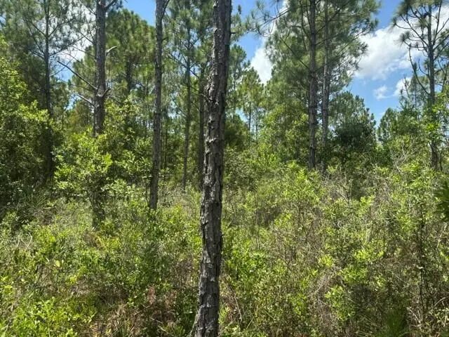 2 of 2 - 0 Holopaw Groves Road, St. Cloud, FL