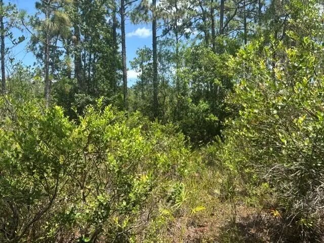 3 of 3 - 0 Holopaw Groves Road, St. Cloud, FL