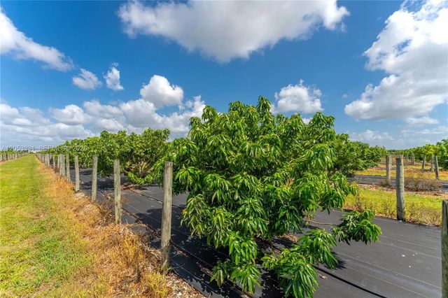 5 of 31 - 320xx Sw 217 Avenue, Homestead, FL