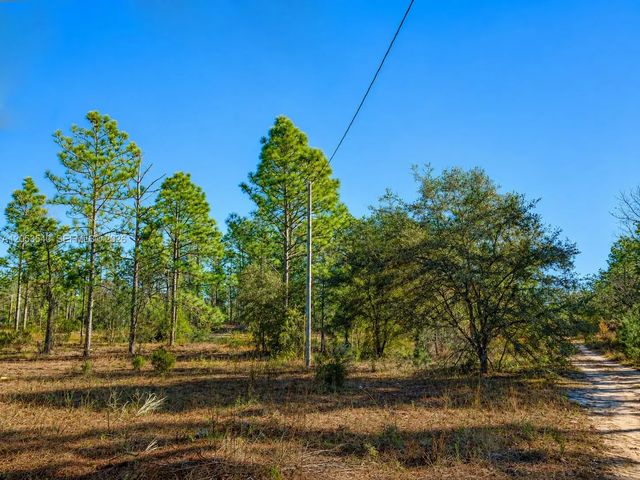 5 of 10 - 130 Indianapolis Street, Palatka, FL