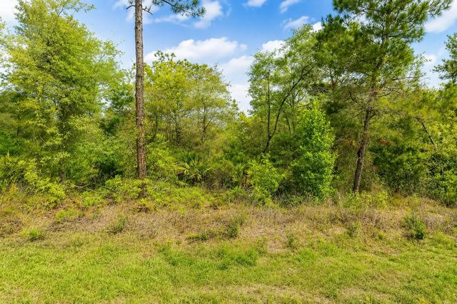 3075 W Bedford Lane, Dunnellon