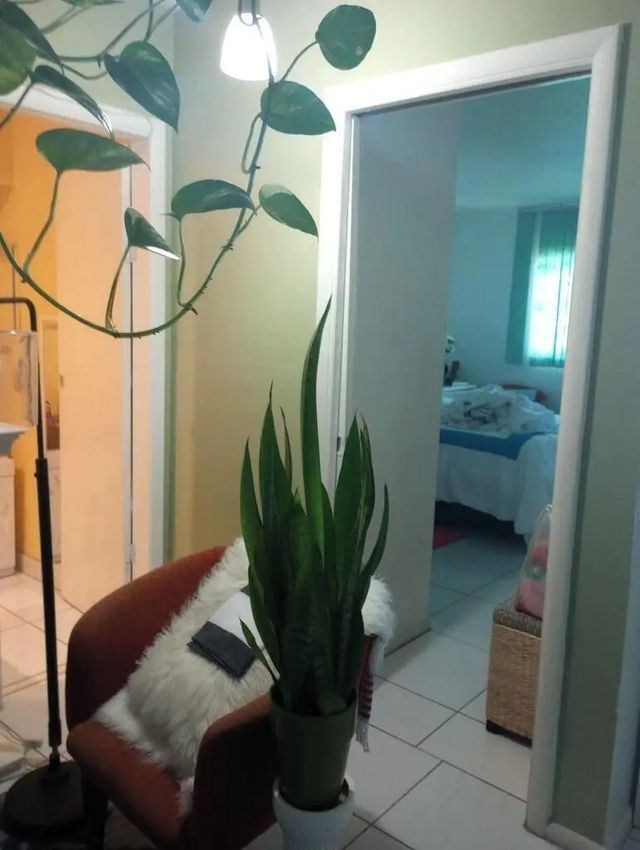 2 of 16 - 1250 E Sample Road #307, Pompano Beach, FL