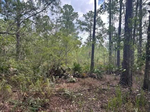 2 of 4 - 0 Water Road, Clermont, FL