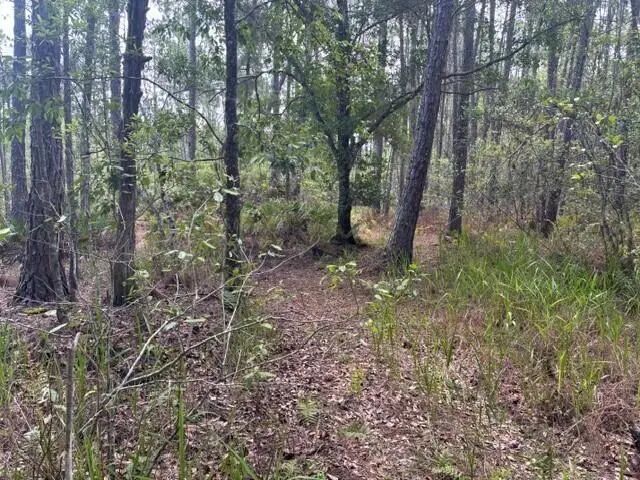 3 of 4 - 0 Water Road, Clermont, FL