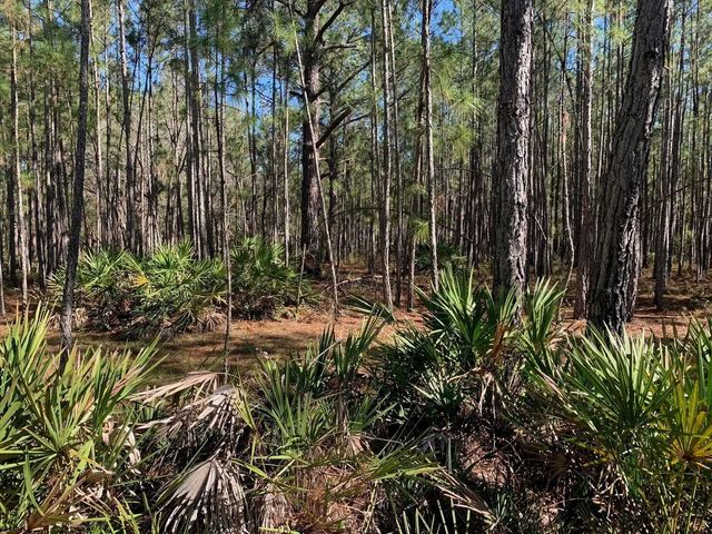 2 of 3 - 0 Poyner Road, , FL
