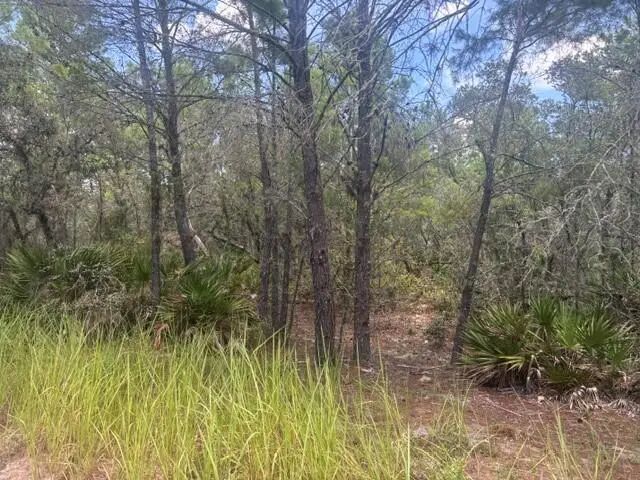0 Us Hwy 27, Lake Wales