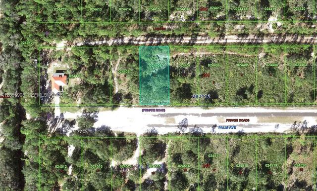 0 Palm Avenue, Lake Wales