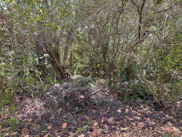 2 of 16 - 3358 S Jog Road, Greenacres, FL