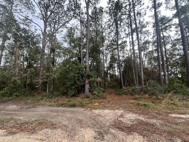 Tbd Susan Street, Interlachen