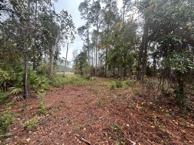 2 of 12 - Tbd Susan Street, Interlachen, FL
