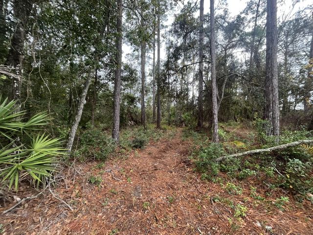 3 of 12 - Tbd Susan Street, Interlachen, FL