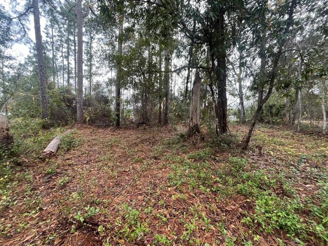 5 of 12 - Tbd Susan Street, Interlachen, FL