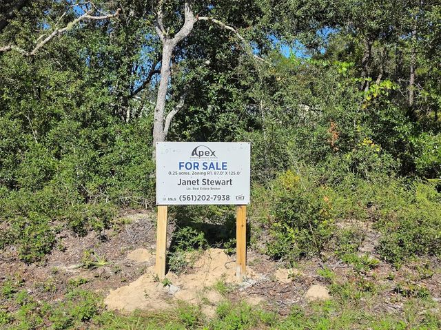 Lot 10 Malauka Circle, Ocklawaha