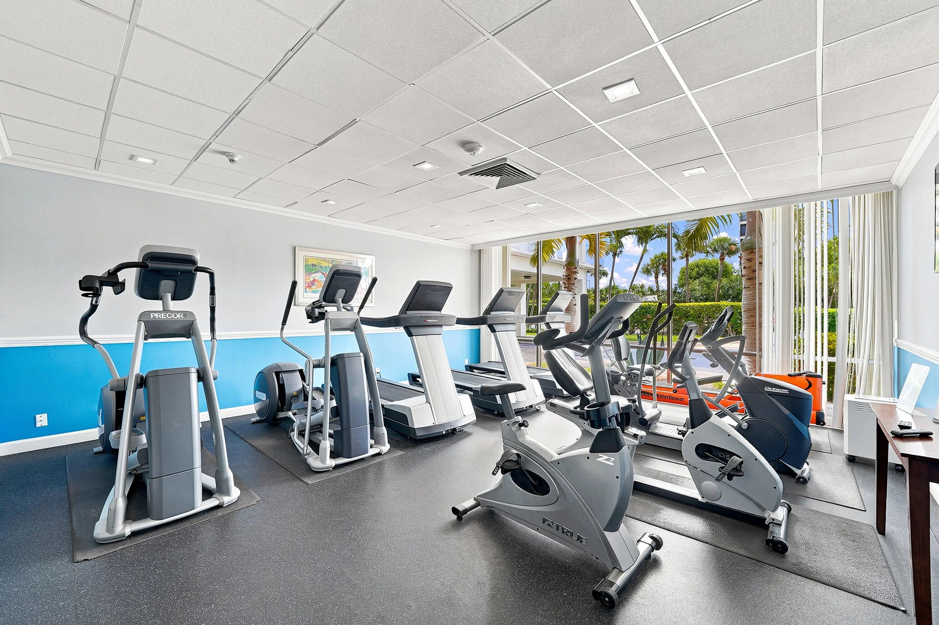 Image 37: B26061390