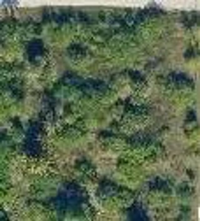 13074 71st Place N, The Acreage