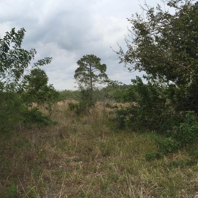 2 of 10 - 20636 Louise Street, Loxahatchee, FL