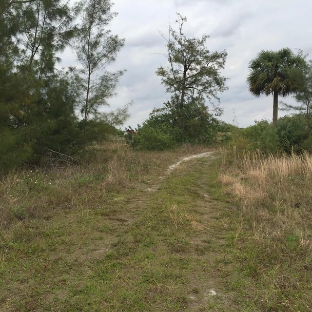 4 of 10 - 20636 Louise Street, Loxahatchee, FL