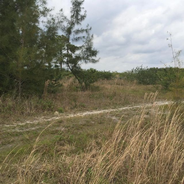 5 of 10 - 20636 Louise Street, Loxahatchee, FL