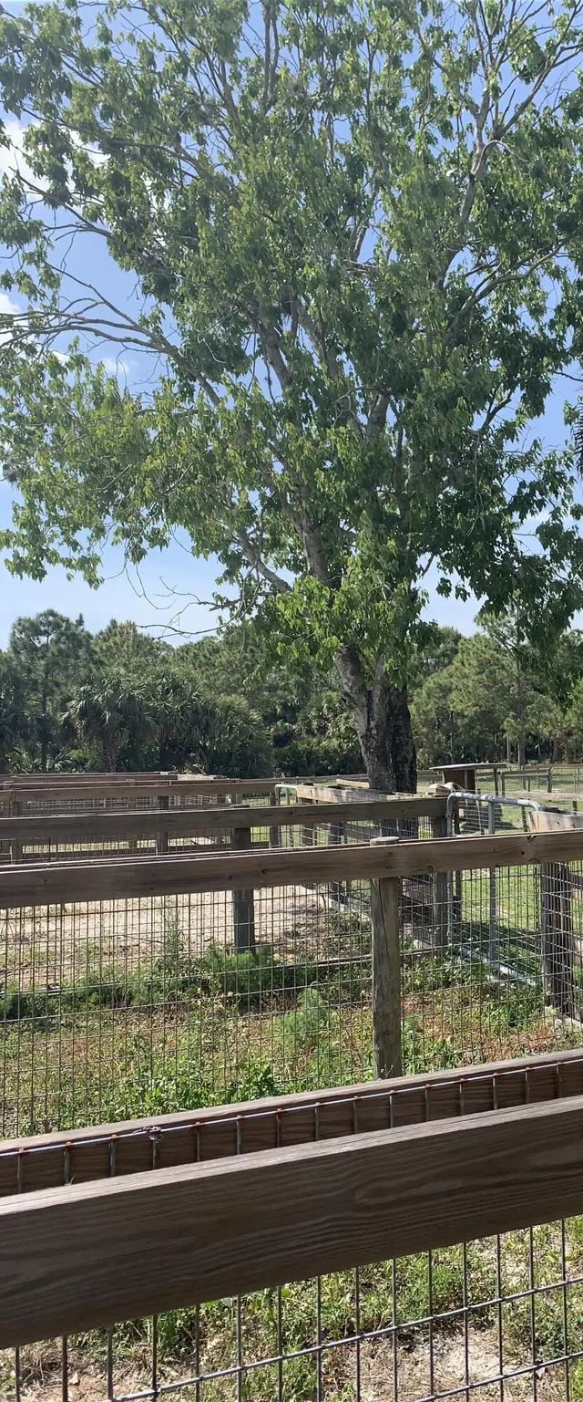 5 of 9 - 26105 Sw 86th Street, Indiantown, FL