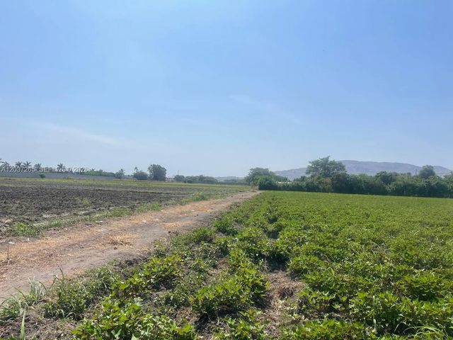 4 of 15 - Guayabo Y Ciruelo, Km 761 Guayabo Y Ciruelo, Km 761 Chiclayo, Peru, , 