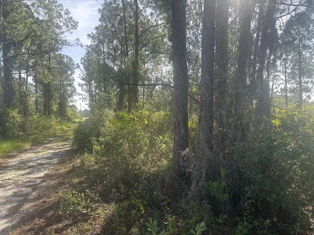 3 of 3 - 1021 Granger Street, Lake Placid, FL