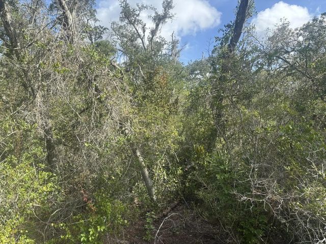 2 of 3 - 336 Stardust Avenue, Lake Placid, FL