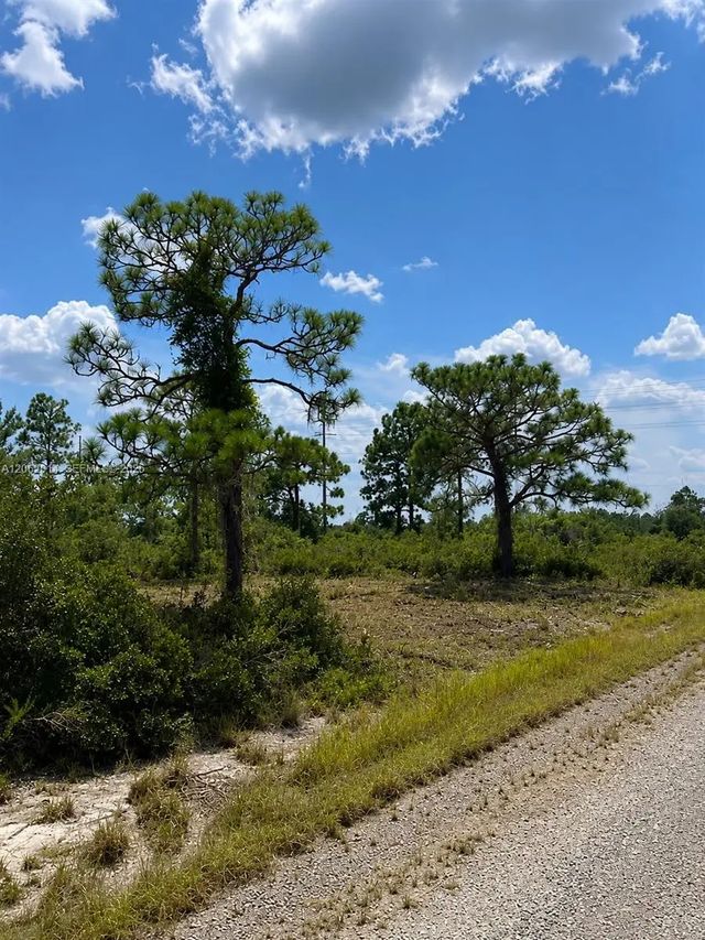 3 of 5 - 3554 Mariana Avenue, Lake Placid, FL