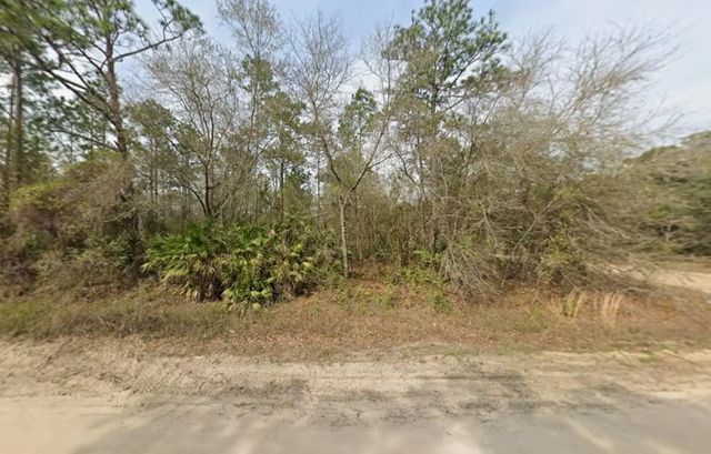 2 of 4 - Tbd Wallace Street, Interlachen, FL