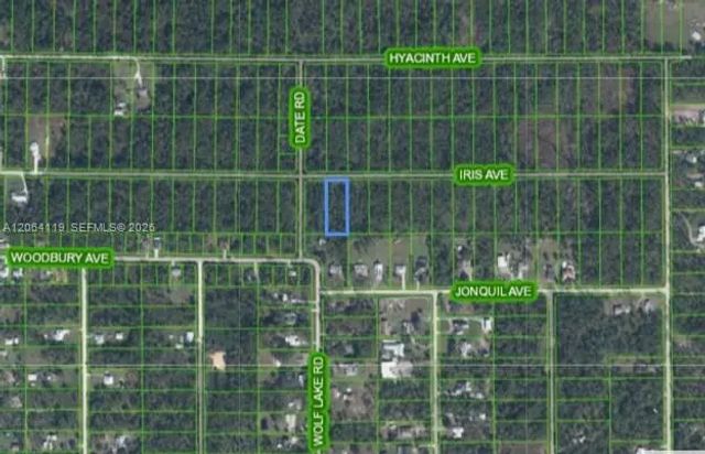 1141 Iris Avenue, Sebring