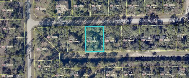 1214 Raphia Street E, Lehigh Acres