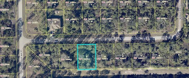 3 of 3 - 1214 Raphia Street E, Lehigh Acres, FL