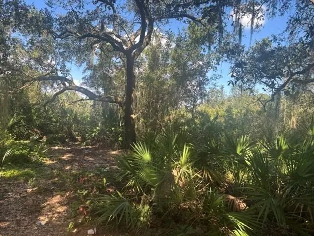 2 of 3 - 1211 Mayfair Street, Lake Placid, FL