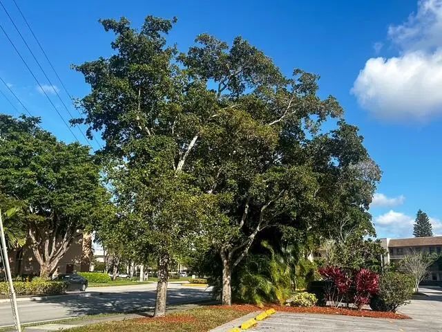 10332 Sunrise Lakes Boulevard #111, Sunrise