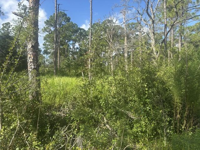 2 of 4 - 284 Rhapsody Avenue, Lake Placid, FL