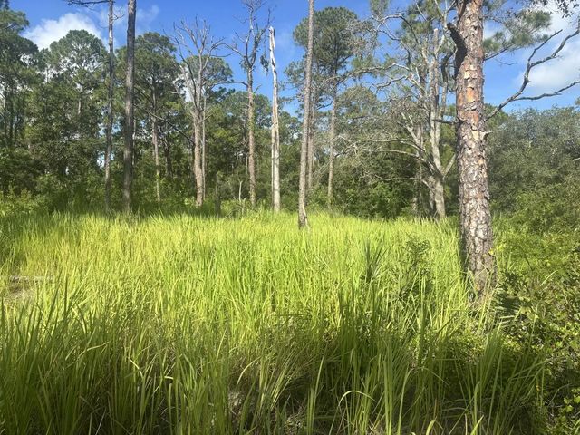 3 of 4 - 284 Rhapsody Avenue, Lake Placid, FL