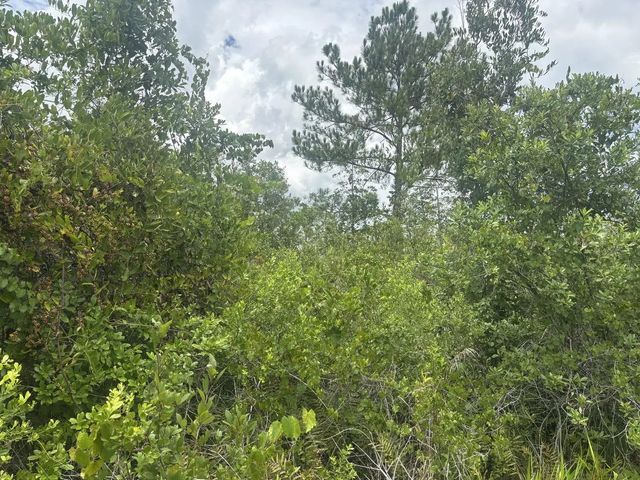 2 of 2 - 0 Salyers Road, , FL