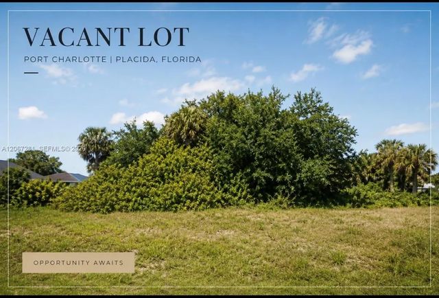 99 Seagrape Street, Port Charlotte