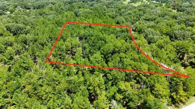 5 of 21 - 0 160th Terrace, Mc Alpin, FL