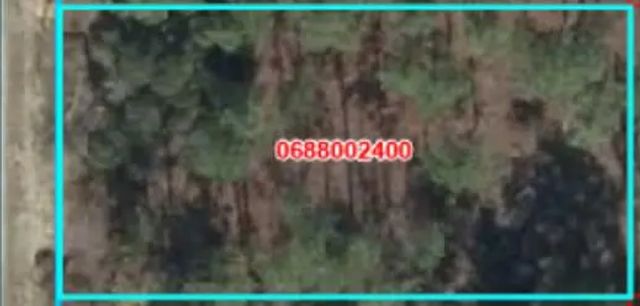 000 Se 134th Court Se, Dunnellon