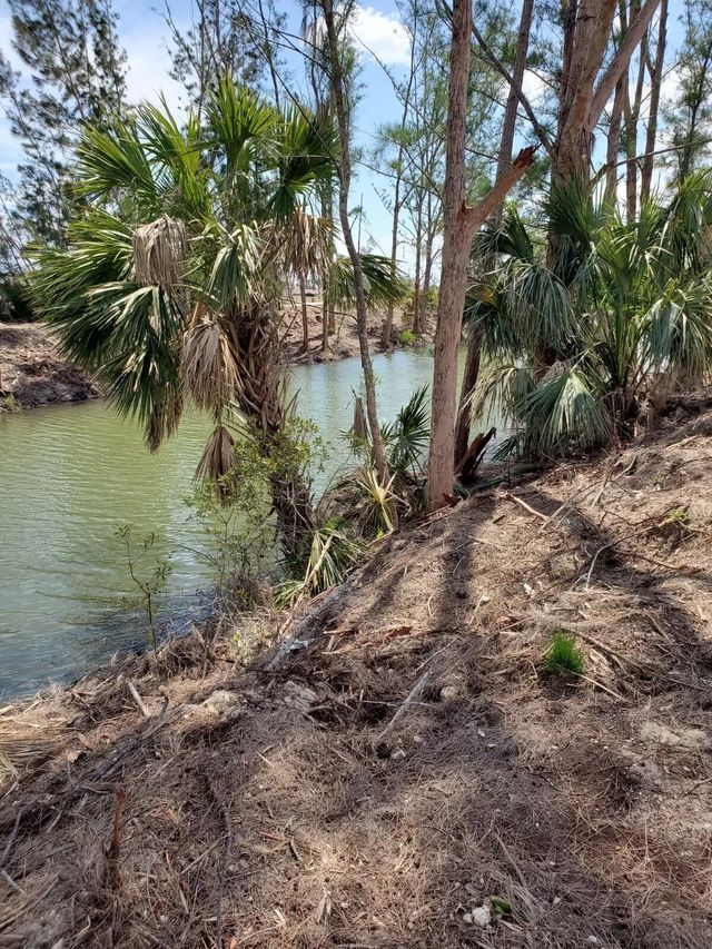 3905 Ne 9th Avenue, Cape Coral