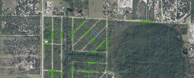 2 of 3 - 3517 Horne Street, Lake Placid, FL