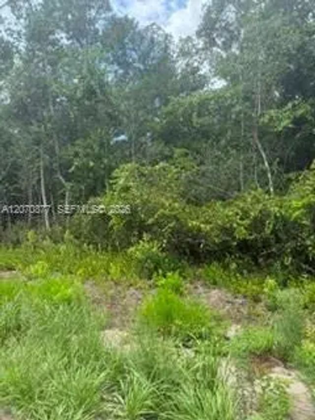 5 of 5 - 00 Range Line, , FL