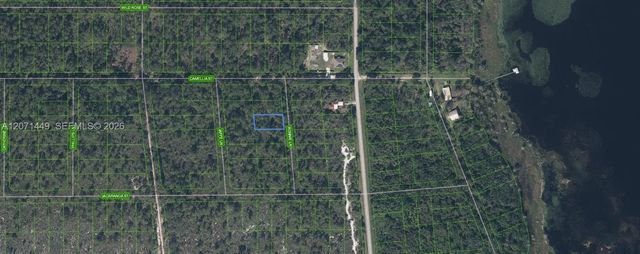 2 of 3 - 722 Ronnie Lane, Lake Placid, FL