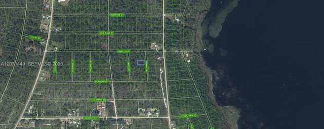 3 of 3 - 722 Ronnie Lane, Lake Placid, FL